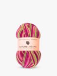 West Yorkshire Spinners & FutureDreams Charity ColourLab DK Knitting Yarn, 100g