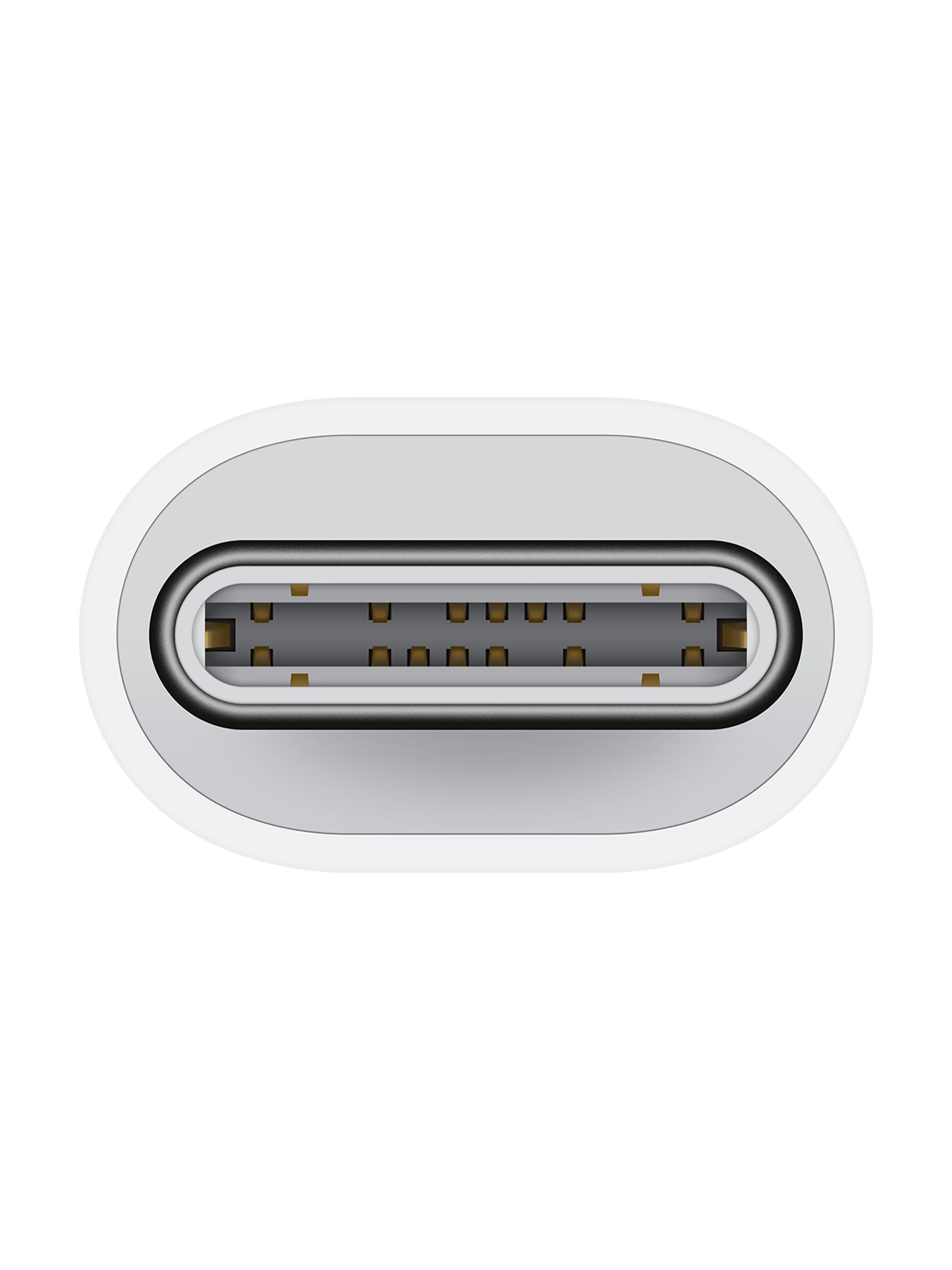 Apple USB-C to Lightning Adapter : Home & Office fast delivery by App or  Online