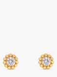 Leah Alexandra Cubic Zirconia Beaded Stud Earrings, Gold