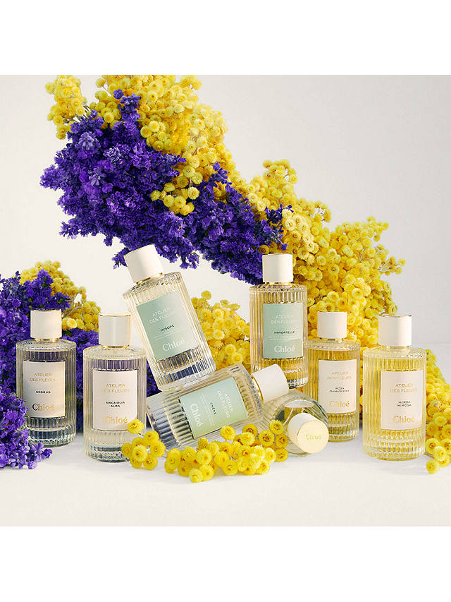 Chloé Atelier des Fleurs Santalum Eau de Parfum, 150ml 4