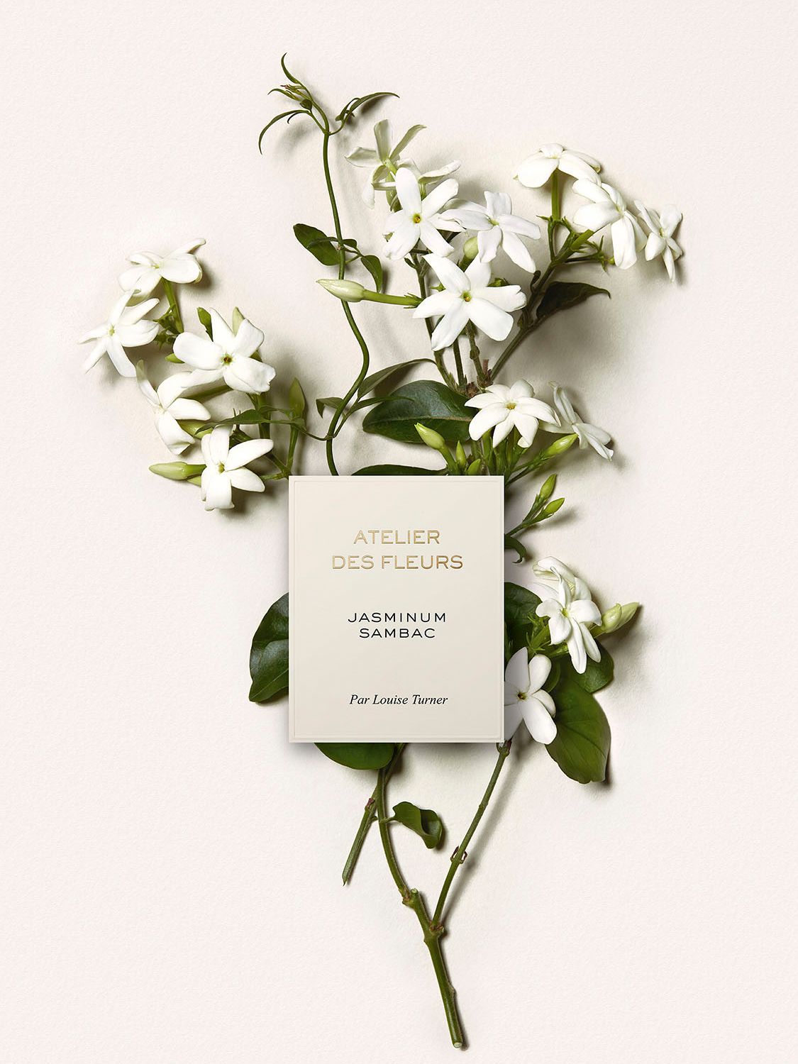 Chloé Atelier des Fleurs Jasminum Sambac Eau de Parfum, 150ml 4