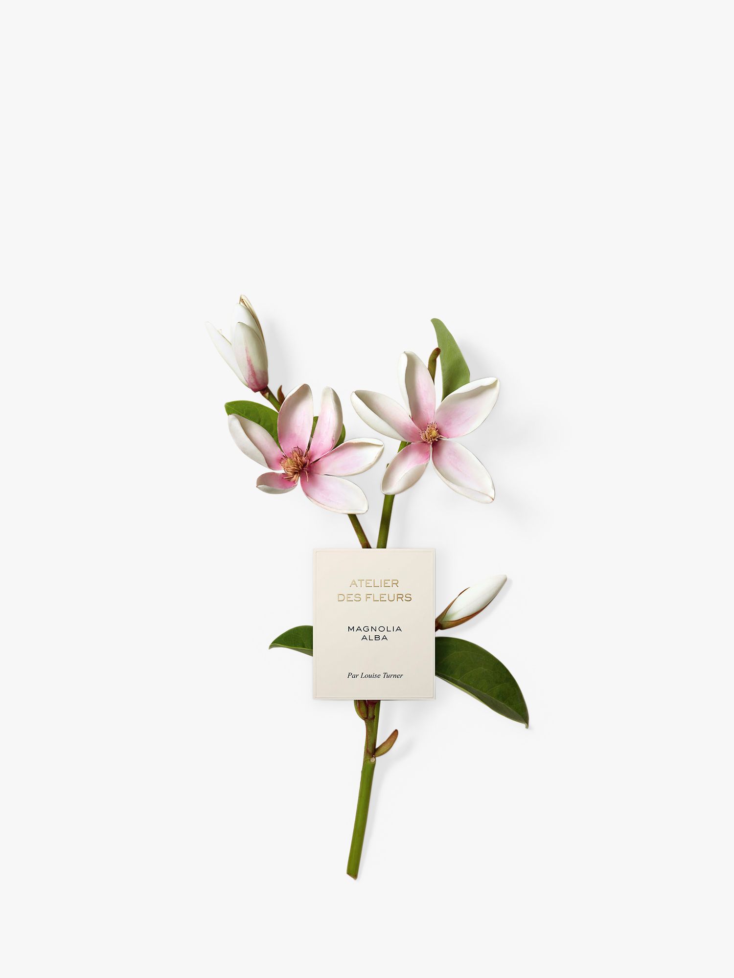 Chloé Atelier des Fleurs Magnolia Alba Eau de Parfum, 150ml 4
