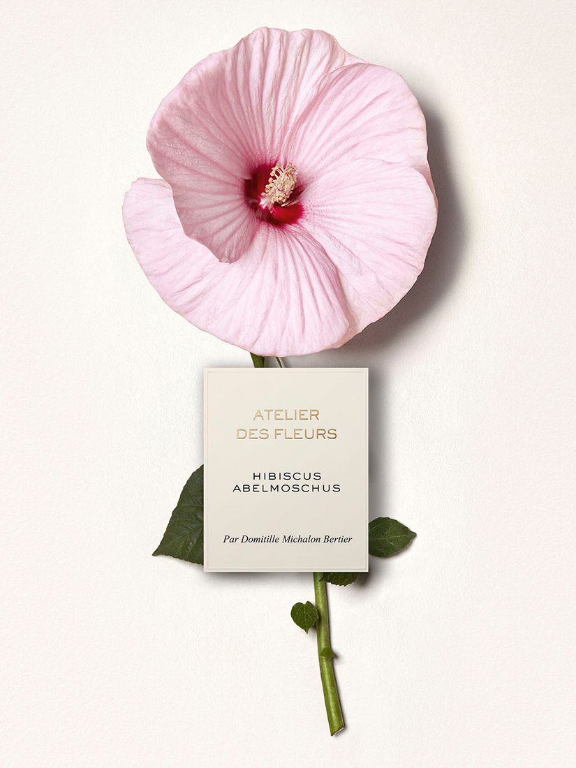 Chloé Atelier des Fleurs Hibiscus Abelmoschus Eau de Parfum, 50ml 4