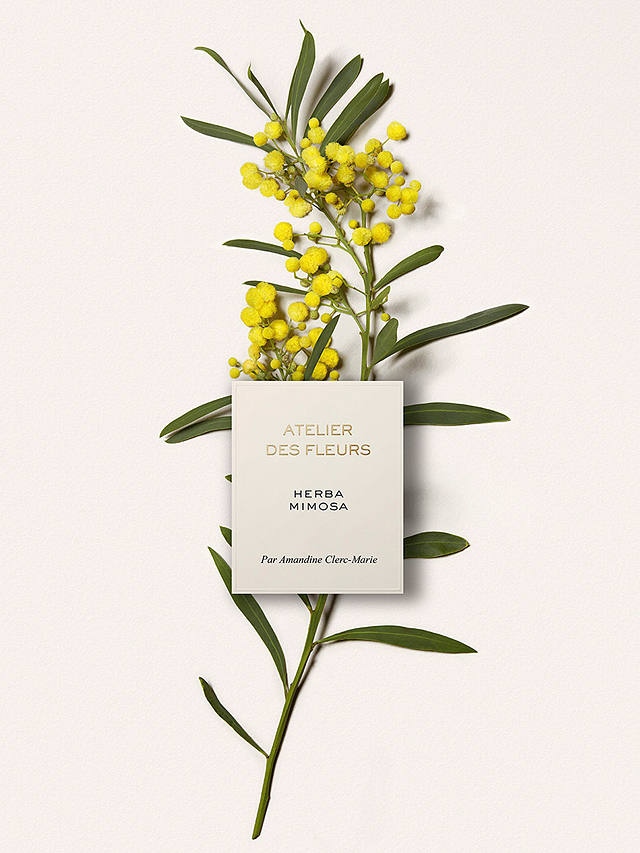 Chloé Atelier des Fleurs Herba Mimosa Eau de Parfum, 150ml 4