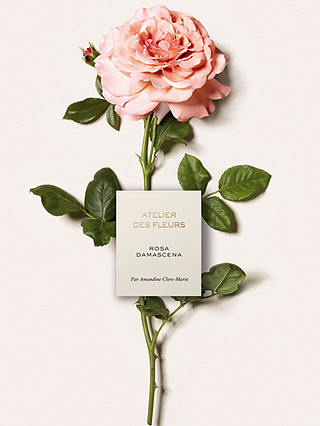 Chloé Atelier des Fleurs Rosa Damascena Eau de Parfum, 50ml 4
