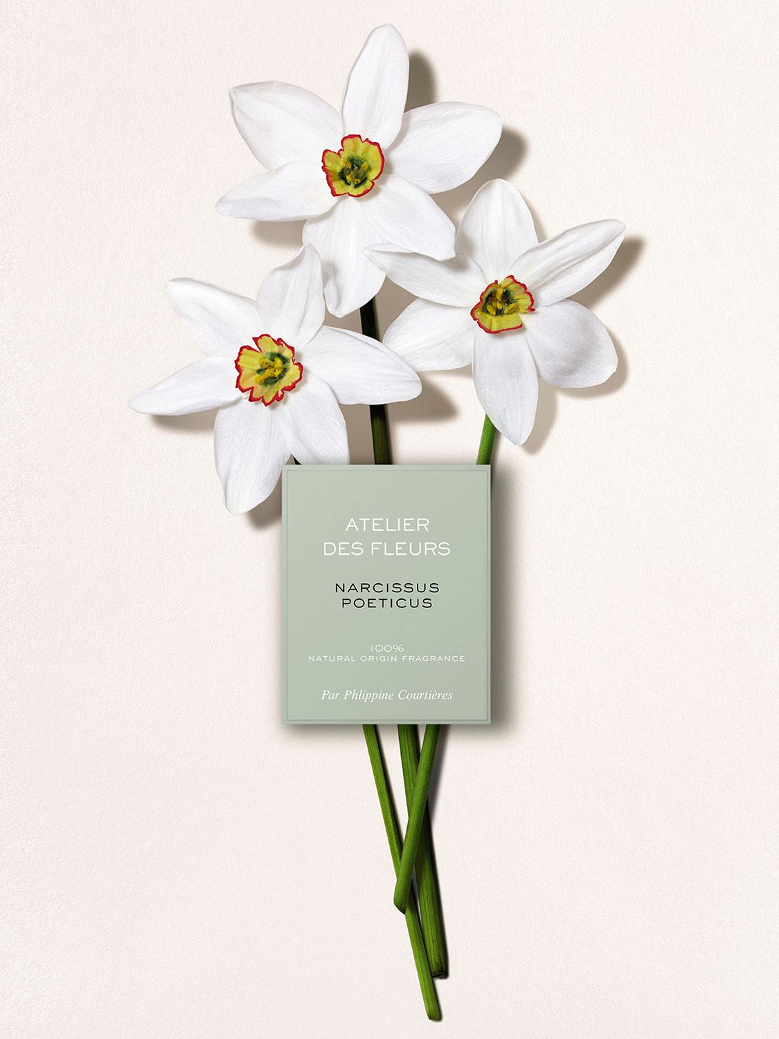 Chloé Atelier des Fleurs Narcissus Poeticus Eau de Parfum, 50ml 3