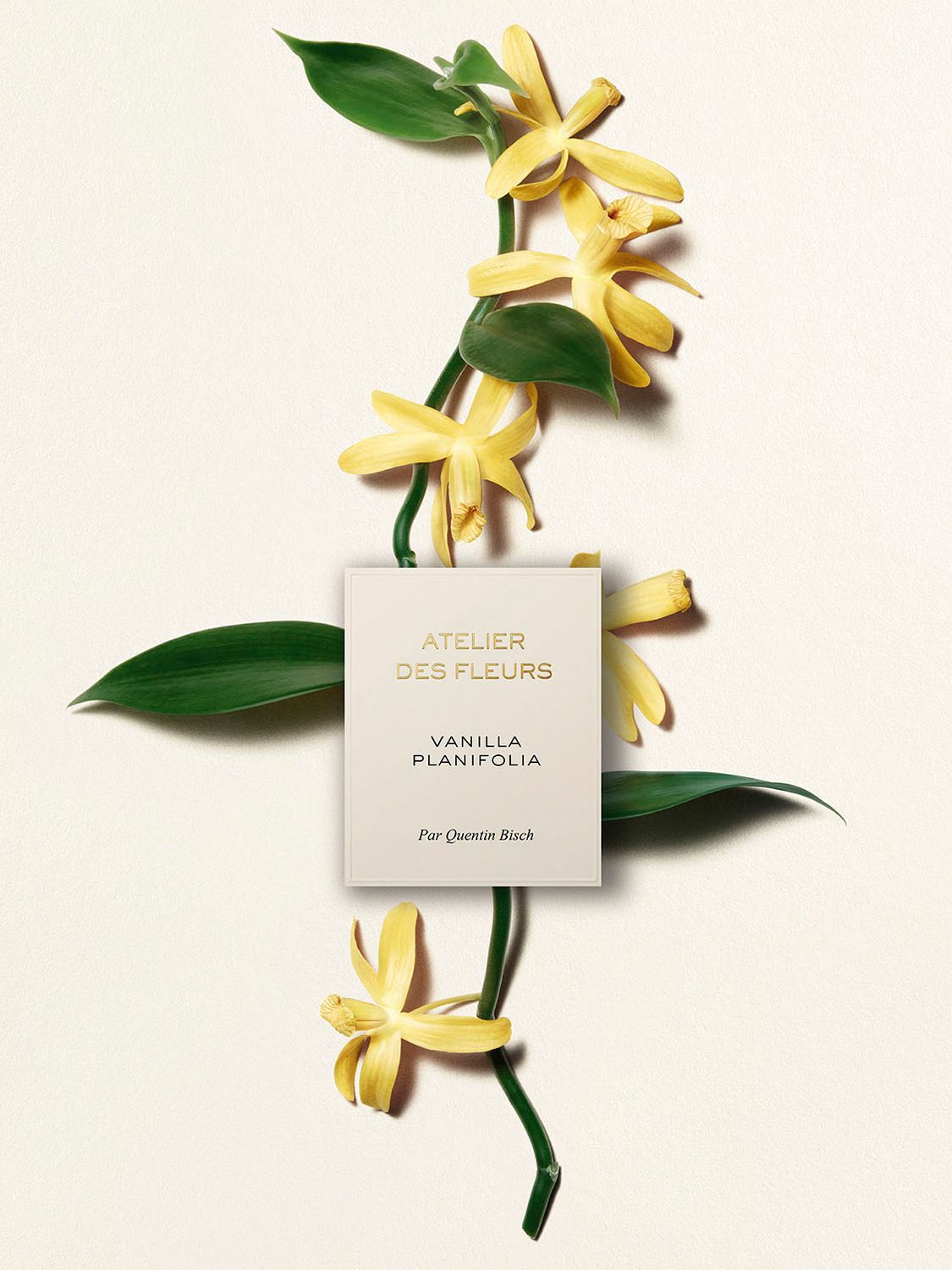 Chloé Atelier des Fleurs Vanilla Planifolia Eau de Parfum, 150ml at John  Lewis & Partners