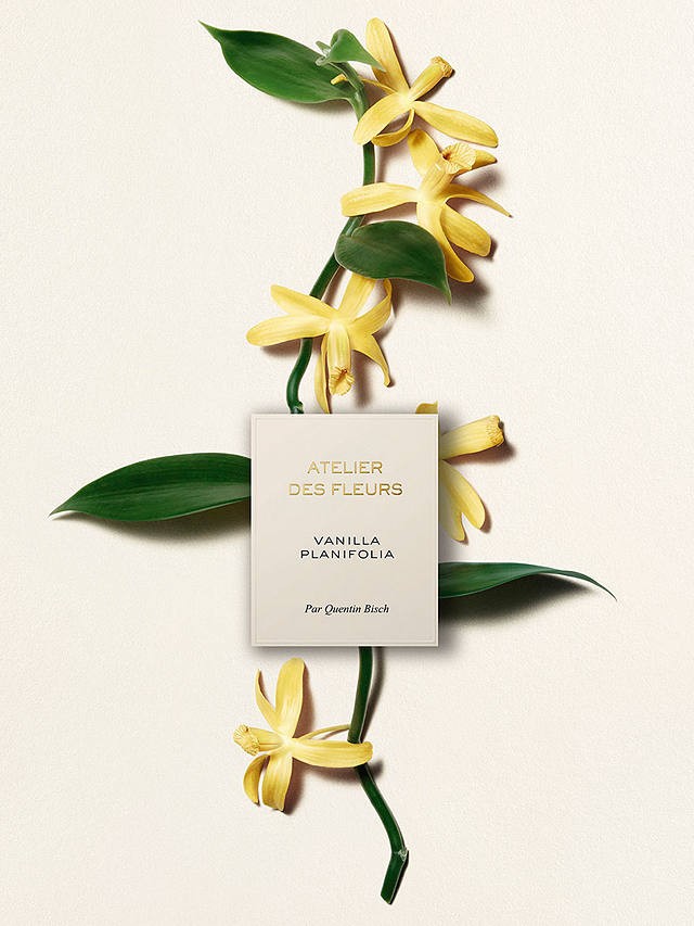 Chloé Atelier des Fleurs Vanilla Planifolia Eau de Parfum, 150ml 4