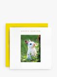 Susan O'Hanlon White Rabbit In The Grass Easter Card