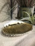 Culinary Concepts Seashore Small Shell Bowl, 16cm, Gold/White