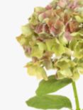Floralsilk Artificial French Hydrangea, Green