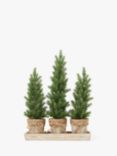 Truly Mini Christmas Trees Table Decoration, Set of 3
