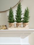 Truly Mini Christmas Trees Table Decoration, Set of 3