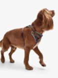 Barbour Tartan Adjustable Dog Harness, Multi