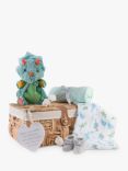 Bumbles & Boo Dinosaur Dreams Baby Boy Hamper with Personalised Card