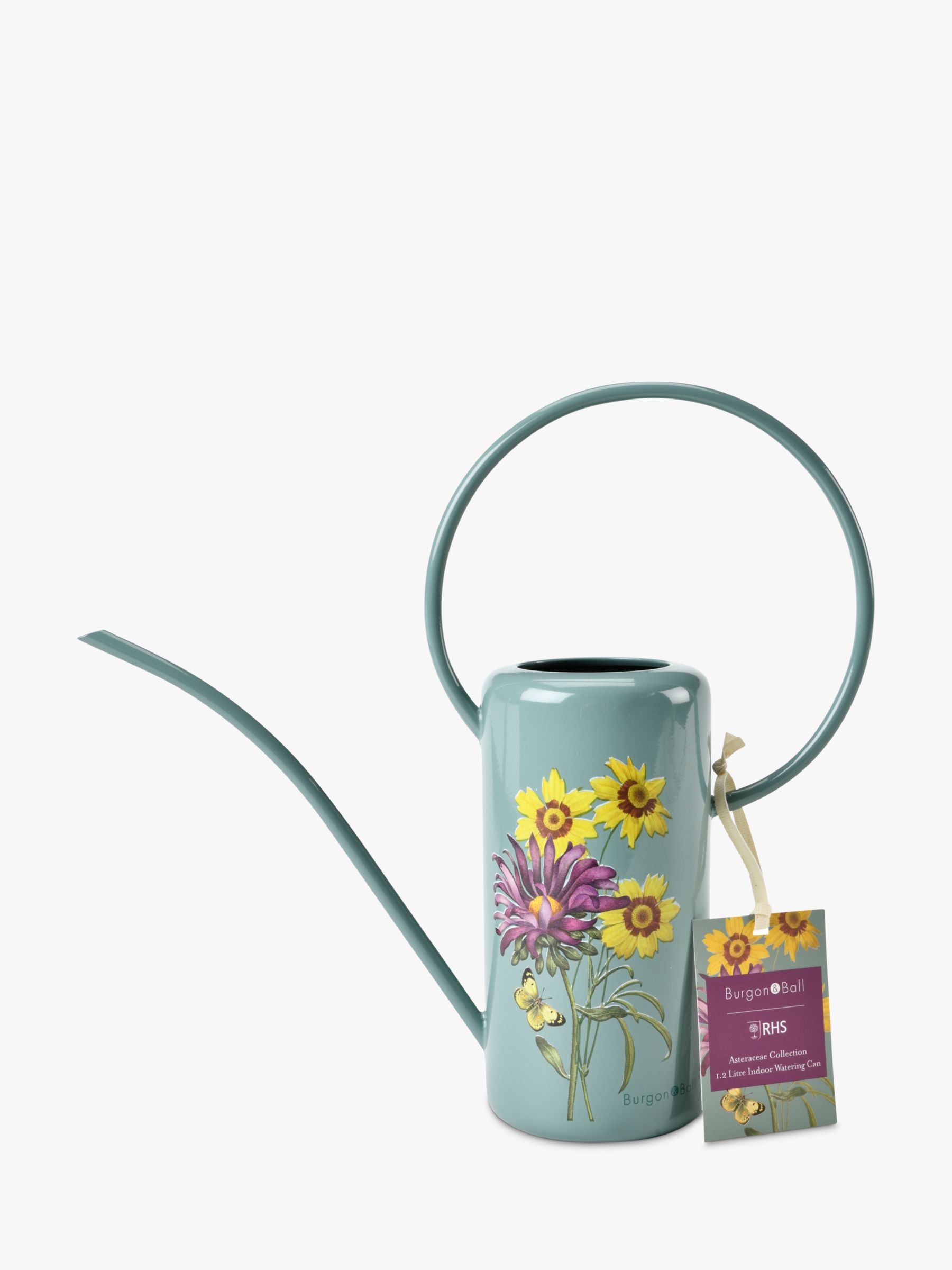 Burgon & Ball RHS Gifts for Gardeners Asteraceae Indoor Watering Can, Sage