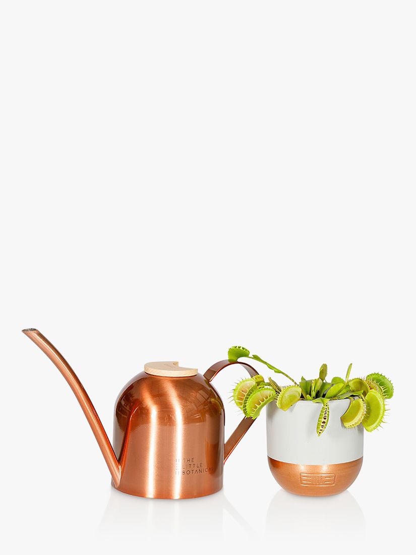 The Little Botanical Living Venus Fly Trap Plant & Pot with Copper Watering Can Gift Set