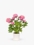 Floralsilk Artificial Peony in Ceramic Pot, H51cm, Pink