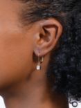 Lauren Ralph Lauren Annalise Crystal Drop Earrings, Gold