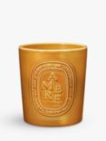 Diptyque Extra-Large Ambre Scented Candle, 1500g