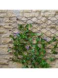 Ivyline Honeycomb Garden Wall Trellis, 100 x 78cm