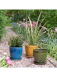 Ivyline Glazed Ceramic Indoor/Outdoor Plant Pot & Saucer