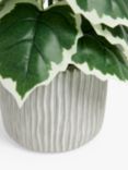 John Lewis Artificial Variegated Fig Plant in Cement Pot, Green/Grey