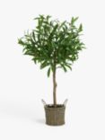John Lewis Artificial Olive Tree in Wicker Basket, Natural/Green