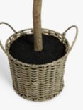 John Lewis Artificial Olive Tree in Wicker Basket, Natural/Green