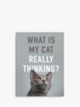 Allsorted What Is My Cat Really Thinking? Book