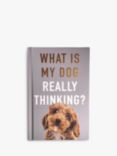 Allsorted What Is My Dog Thinking? Book