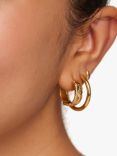 Orelia Braided Texture Small Hoop Earrings, Gold