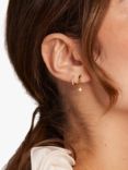 Orelia Pave Micro Starburst Huggie Hood Earrings, Gold