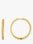 Orelia Rope Twist Mid-Size Hoop Earrings, Gold