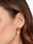 Orelia Vintage Chain Peardrop Pearl Hoop Earrings, Gold