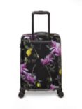 Ted Baker Citrus Bloom Moulded Shell Small Trolley Case, Black/Multi