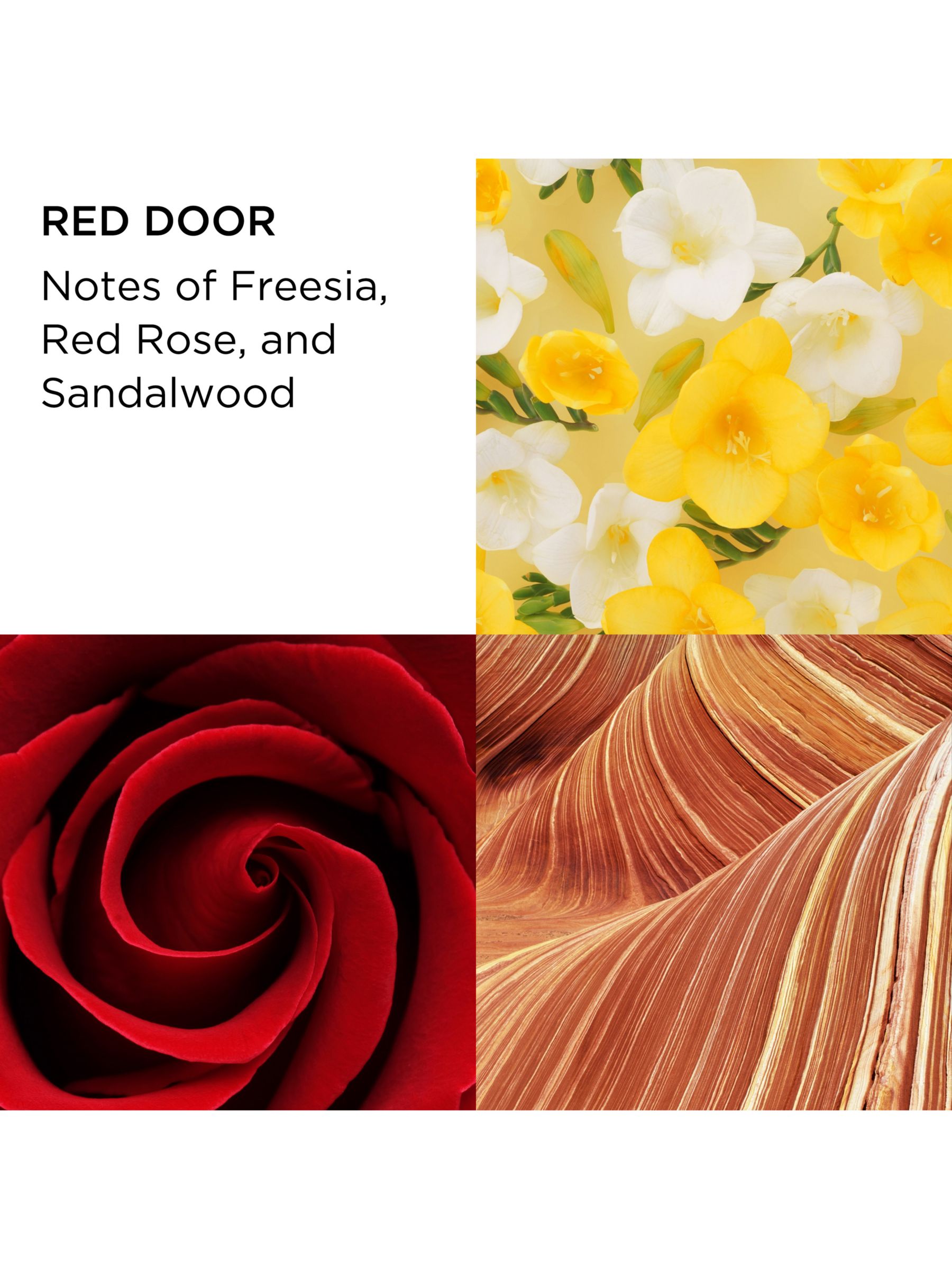 Elizabeth Arden Red Door Eau de Toilette 100ml Fragrance Gift Set 4