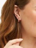 Auree Havana Enamel Detail Half Hoop Earrings