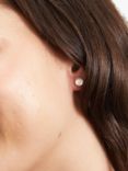 Auree Barcelona Birthstone Sterling Silver Stud Earrings, Rose Quartz - October