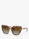 Swarovski SK6016 Women's Polarised Cat's Eye Sunglasses, Medium Havana/Brown Gradient