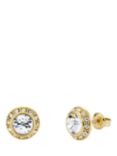 Ted Baker Soletia Solitaire Sparkle Crystal Stud Earrings