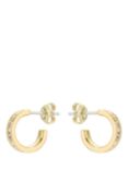 Ted Baker Seenita Small Crystal Hoop Earrings, Gold