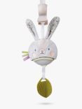 Taf Toys Garden Musical Bunny Stroller Toy