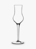 Luigi Bormioli Michelangelo Grappa Glass, Set of 4, 95ml, Clear