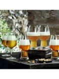 Luigi Bormioli Beer Tasting Glasses, Set of 6, Clear