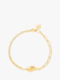 Wanderlust + Co Shell Charm Link Chain Bracelet, Gold