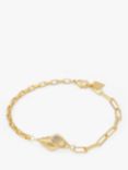 Wanderlust + Co Shell Charm Link Chain Bracelet, Gold