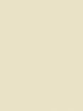 The Little Greene Paint Company Intelligent Eggshell, Light Stone Neutrals, Silent White (331)