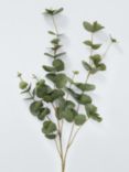 Everlands Eucalyptus Stem, Green