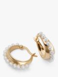 Daisy London Pearl Huggie Hoop Earrings, Gold